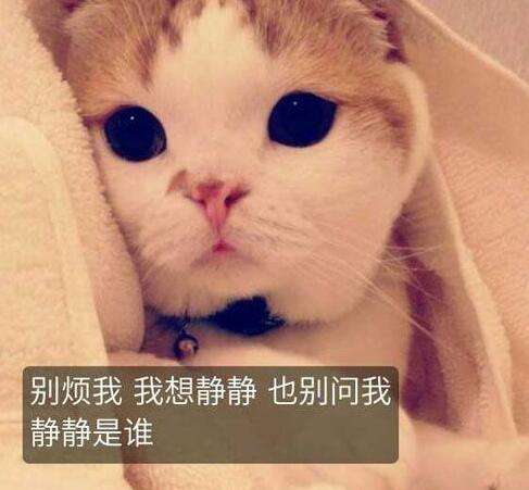 唯美图片