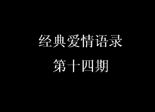 经典爱情语录第十四期