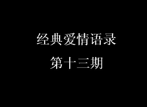 经典爱情语录第十三期