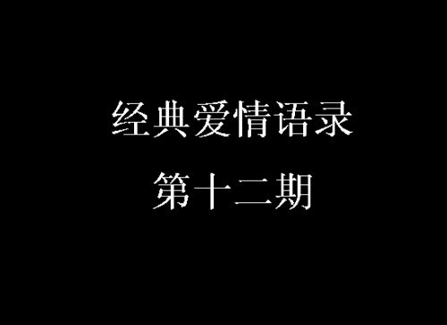 经典爱情语录第十二期