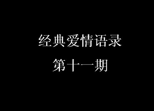 经典爱情语录第十一期