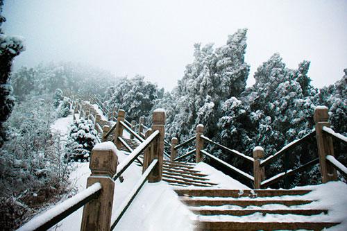 下雪的心情说说 下雪了喜欢蹲雪人的人请举手