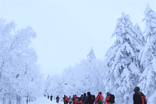 适合在下雪天发的说说