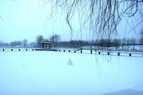 下雪了心情不好的说说 我住的城市从不下雪 记忆却堆满冷的感