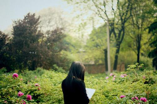 关于优雅女人的句子 女人优雅气质的句子