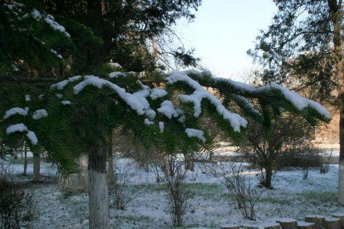 下雪最伤感的句子 下雪总是冷的就像我对你的心总感觉是凉的