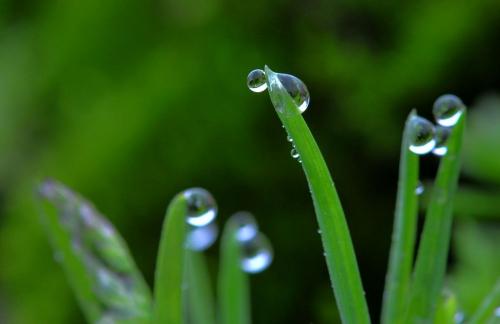 关于春雨的优美句子