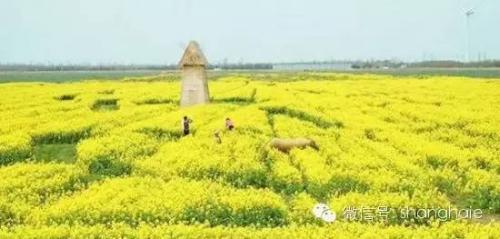 祝你开心快乐的句子 简短祝开心快乐句子