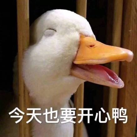 祝福对方要开心的句子