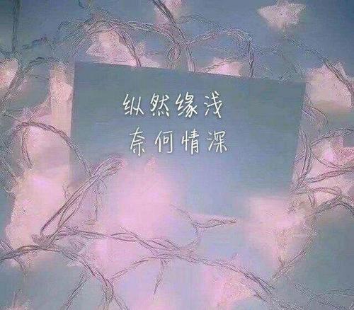 对人世失望的句子