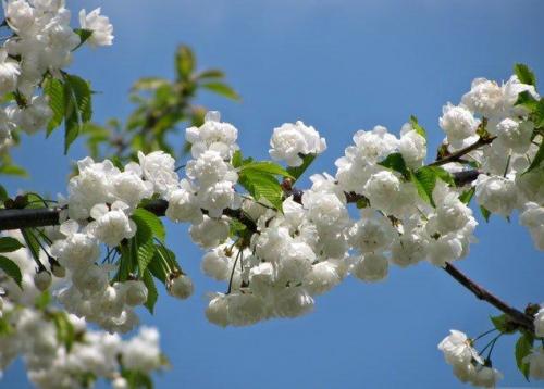 教师节感恩老师的一句话 教师节赞美老师的句子