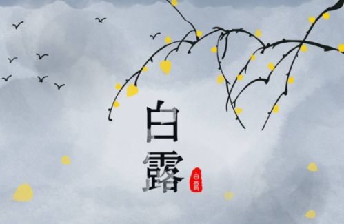 白露节气唯美祝福语大全