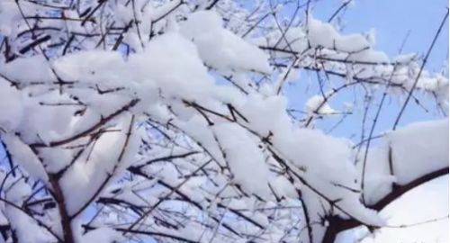 下雪的说说心情短语