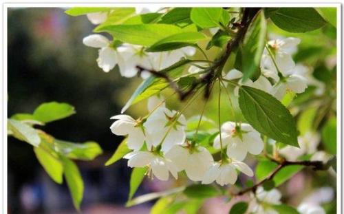 梅雨季节问候短信