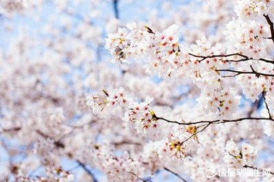 夏天高温问候短信