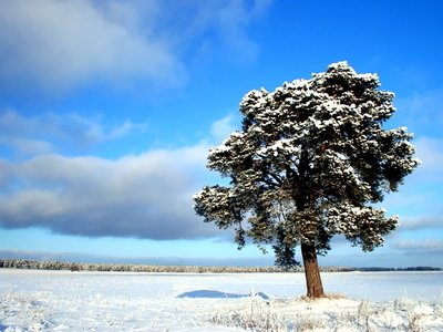 周末降温下雪短信问候