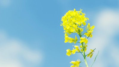 雨天多添衣问候短信