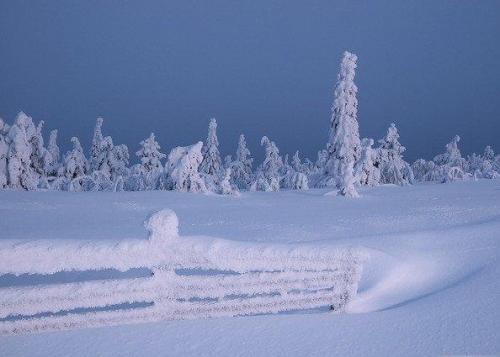 关于雪的唯美文案 雪天文艺文案句子大全