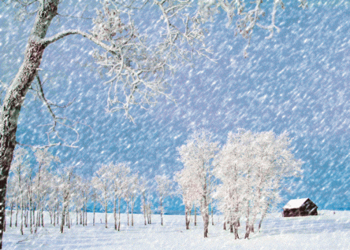 发朋友圈下雪高端句子 适合下雪天发的文字大全