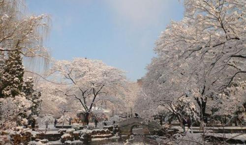 抖音下雪超级火的句子 下雪天发的文案短语