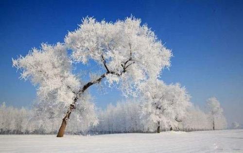 发朋友圈看雪的句子 下雪天发朋友圈的配文