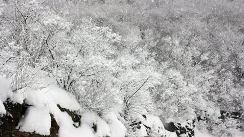 下雪唯美说说心情短语