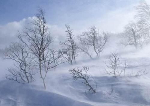 感受雪景的心情短语 喜欢雪的句子说说心情