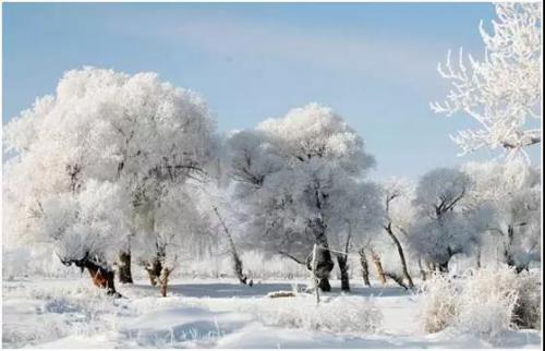 冬天雪景的优美句子