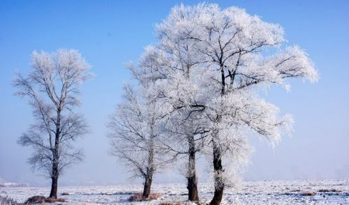 形容雪景的唯美短句子