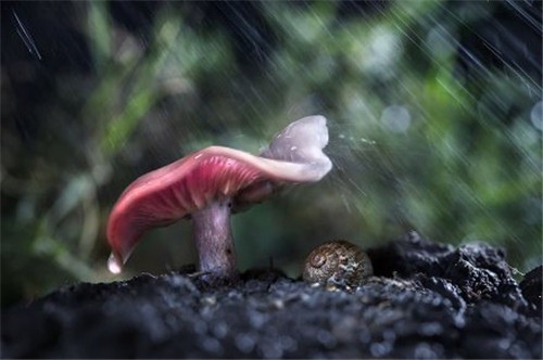 下雨了可以发的说说