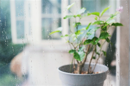 窗外下雨睡不着的说说 听窗外雨声的朋友圈说说