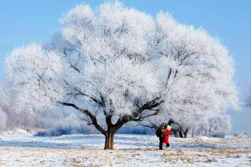 关于初雪的唯美文字