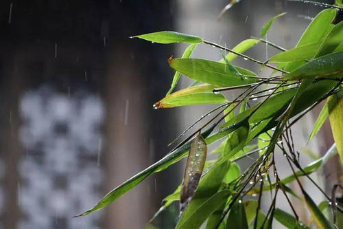 下雨天的关心问候短信