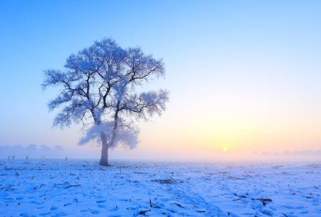 下雪天微信朋友圈说说心情短语 简单一句话下雪了说说最新