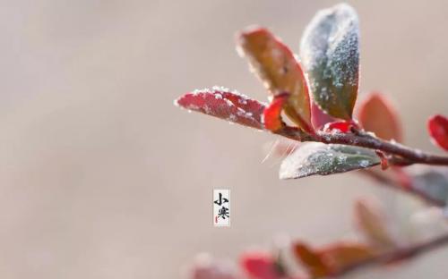 小寒节气发朋友圈的唯美句子