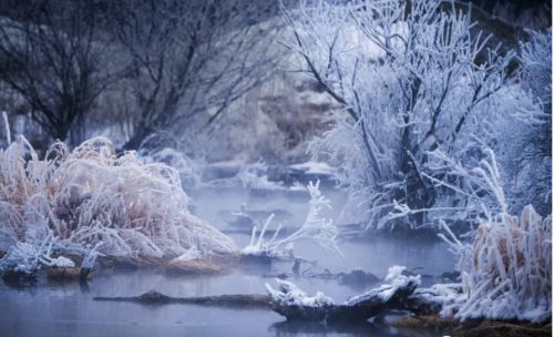 下雪说说心情短语第一场下雪的说说