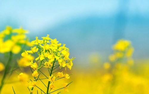 立春节气祝福语 立冬祝福语简短独特