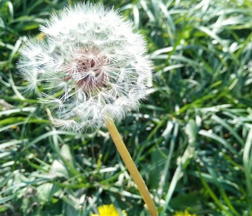 晒太阳享受阳光的说说 享受阳光的温暖的说说