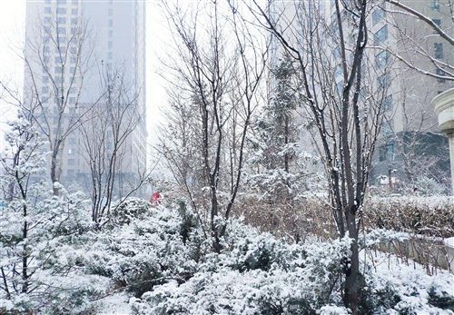 适合在下雪天发的说说 表达下雪的经典的说说