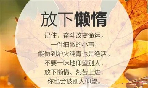 工作心得一句话正能量 每日工作感悟一句话