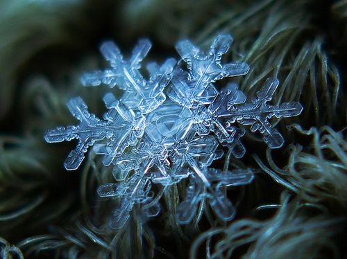 大雪最新微信朋友圈祝福语