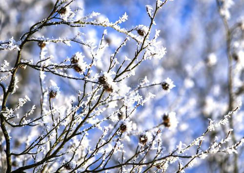 冬天下雪后的短信问候