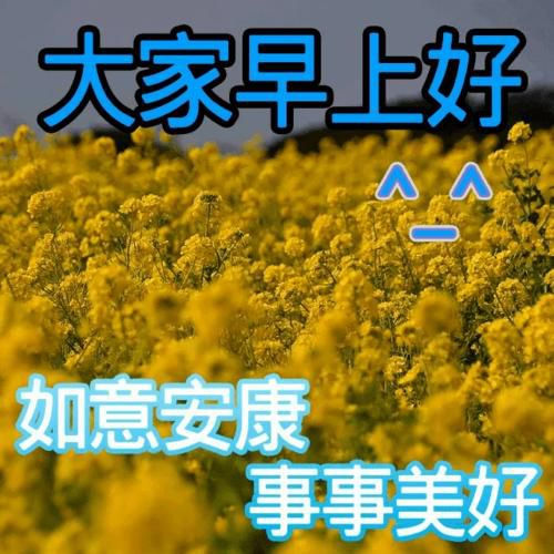 早上情感问候短信大全