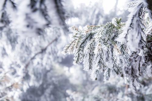 大雪唯美文案 关于雪的浪漫句子