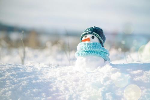 描写雪景的优美句子 赞美雪的有意境的句子