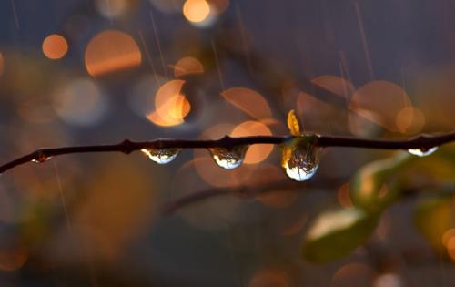 下雨了写一段心情说说 下雨天的心情经典句子