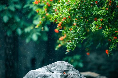 下雨的有意境的短句子 关于下雨的说说