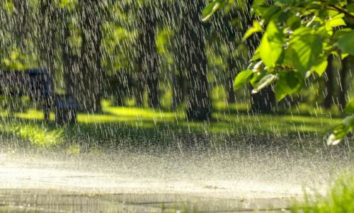 描写雷雨的句子 形容下暴雨的句子