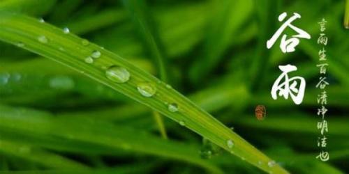 谷雨节气祝福语大全简短一句话