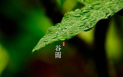 谷雨节气微信朋友圈祝福语